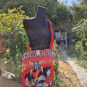 TotBag Goldorak